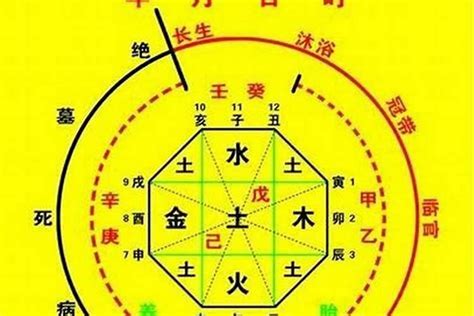 八字 用神 查詢